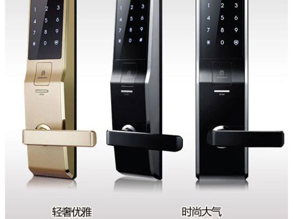 廈門配汽車芯片鑰匙